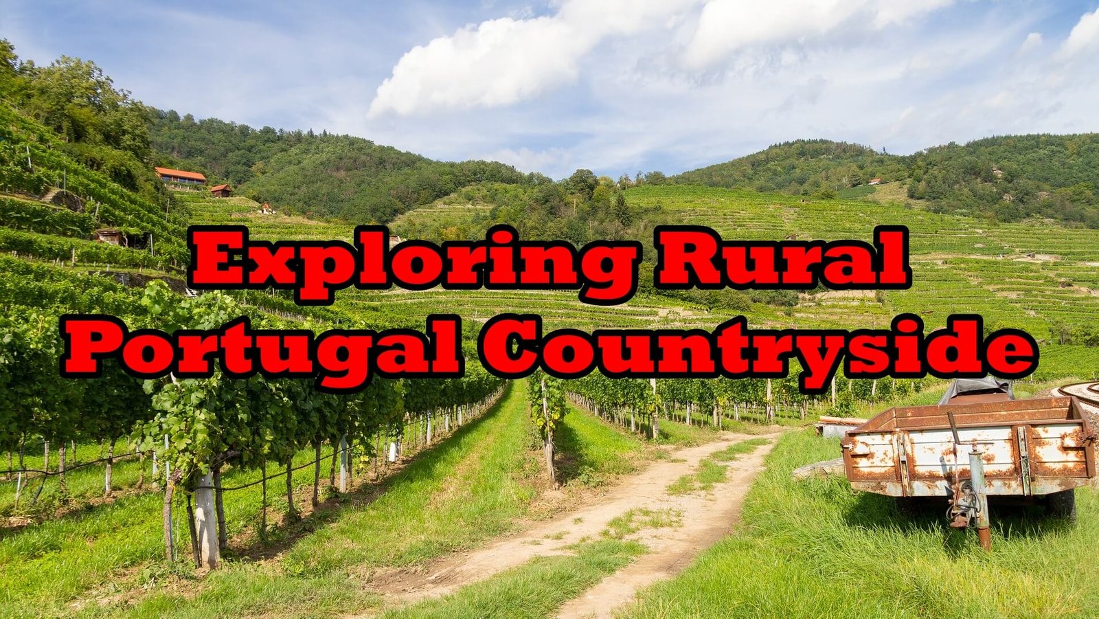 Exploring Rural Portugal Countryside