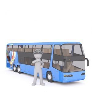 bus tours