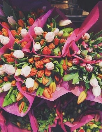 All Flowers – Florista Online